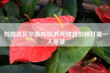刘国梁瓦尔德内尔,乒乓球直拍横打第一人是谁