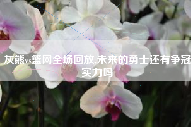 灰熊vs篮网全场回放,未来的勇士还有争冠实力吗