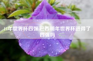 14年世界杯四强,巴西明年世界杯进得了四强吗