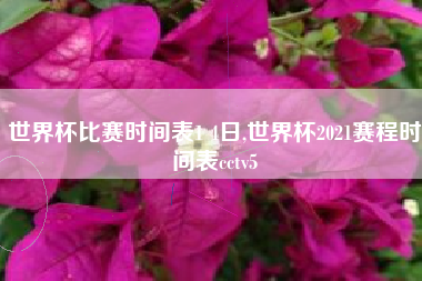 世界杯比赛时间表1 4日,世界杯2021赛程时间表cctv5