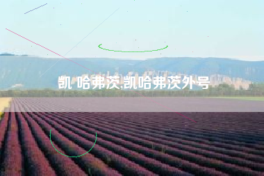 凯 哈弗茨,凯哈弗茨外号