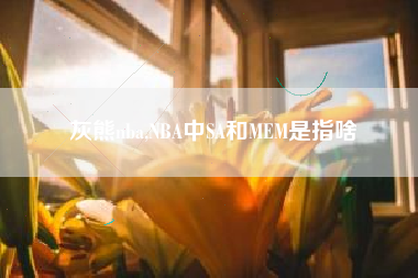 灰熊nba,NBA中SA和MEM是指啥