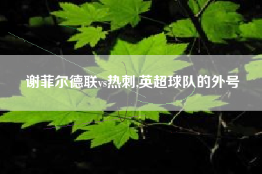 谢菲尔德联vs热刺,英超球队的外号