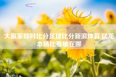 大赢家即时比分足球比分新浪体育,猛龙本场比赛输在哪