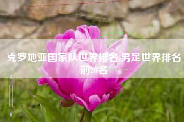 克罗地亚国家队世界排名,男足世界排名前20名