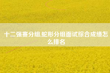 十二强赛分组,蛇形分组面试综合成绩怎么排名