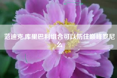 范迪克,库里巴利组合可以防住巅峰罗尼么