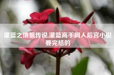 灌篮之饿狼传说,灌篮高手同人后宫小说要完结的