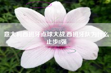 意大利西班牙点球大战,西班牙队为什么止步8强