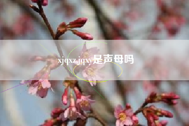 xjqxz,jqxy是声母吗