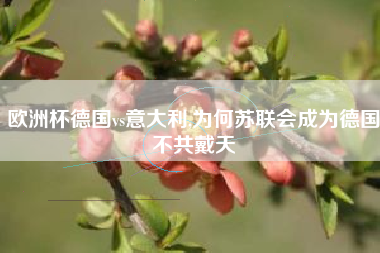 欧洲杯德国vs意大利,为何苏联会成为德国不共戴天