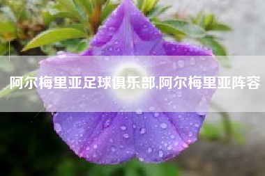 阿尔梅里亚足球俱乐部,阿尔梅里亚阵容