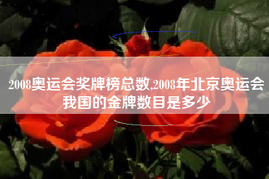 2008奥运会奖牌榜总数,2008年北京奥运会我国的金牌数目是多少