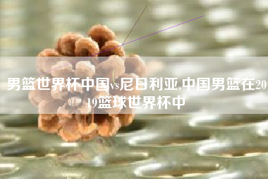 男篮世界杯中国vs尼日利亚,中国男篮在2019篮球世界杯中