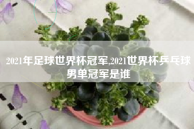 2021年足球世界杯冠军,2021世界杯乒乓球男单冠军是谁