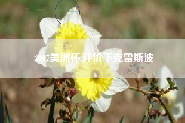 2007美洲杯,评价下克雷斯波