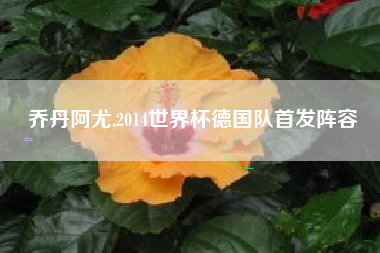 乔丹阿尤,2014世界杯德国队首发阵容