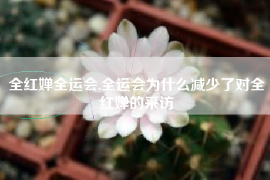 全红婵全运会,全运会为什么减少了对全红婵的采访