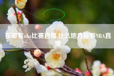在哪看nba比赛直播,什么地方能看NBA直播