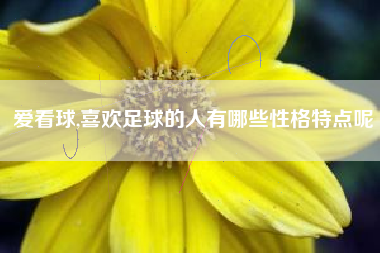 爱看球,喜欢足球的人有哪些性格特点呢