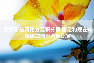巴西甲最新比分及积分榜,国足和现在中超组成的巴西队比赛