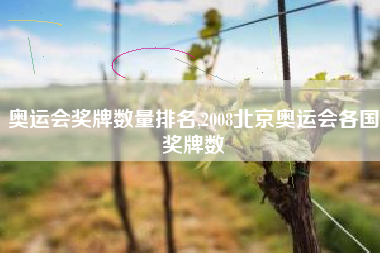 奥运会奖牌数量排名,2008北京奥运会各国奖牌数