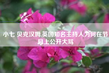 小七 贝克汉姆,英国知名主持人为何在节目上公开大骂