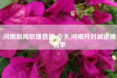 河南新闻联播直播 今天,河南开封被逮捕名单