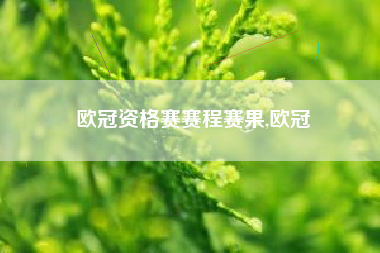 欧冠资格赛赛程赛果,欧冠