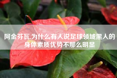 阿金芬瓦,为什么有人说足球领域黑人的身体素质优势不那么明显