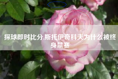 探球即时比分,斯托伊奇科夫为什么被终身禁赛