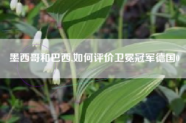墨西哥和巴西,如何评价卫冕冠军德国0