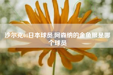 沙尔克04日本球员,阿森纳的金鱼眼是哪个球员