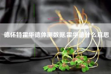 德怀特霍华德体测数据,霍华德什么意思