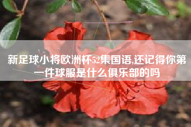 新足球小将欧洲杯52集国语,还记得你第一件球服是什么俱乐部的吗