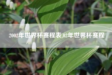 2002年世界杯赛程表,02年世界杯赛程