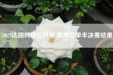 2023法国网球公开赛,澳网女单半决赛结果