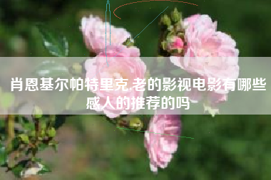 肖恩基尔帕特里克,老的影视电影有哪些感人的推荐的吗