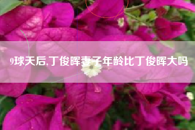 9球天后,丁俊晖妻子年龄比丁俊晖大吗