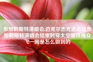 布加勒斯特演唱会,迈克尔杰克逊危险布加勒斯特演唱会结束时穿太空服绕观众飞一圈是怎么做到的