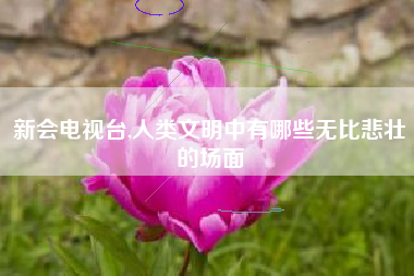 新会电视台,人类文明中有哪些无比悲壮的场面