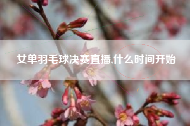 女单羽毛球决赛直播,什么时间开始