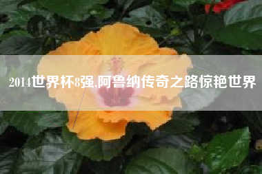 2014世界杯8强,阿鲁纳传奇之路惊艳世界