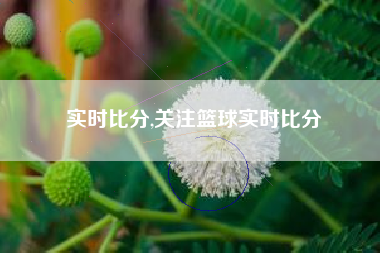 实时比分,关注篮球实时比分