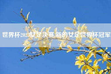 世界杯2023女足决赛,新的女足世界杯冠军