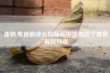 波纳,电视剧成长的烦恼中波纳这个角色有何特点
