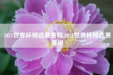 2021世界杯预选赛赛程,2021世界杯预选赛赛程