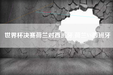 世界杯决赛荷兰对西班牙,荷兰VS西班牙