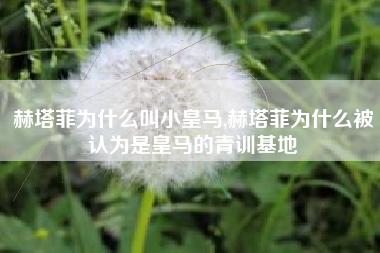 赫塔菲为什么叫小皇马,赫塔菲为什么被认为是皇马的青训基地