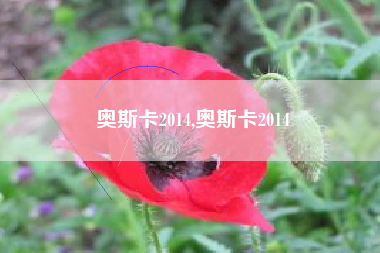 奥斯卡2014,奥斯卡2014